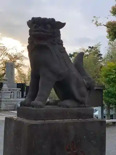 若雷神社の狛犬