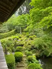 三千院門跡の庭園