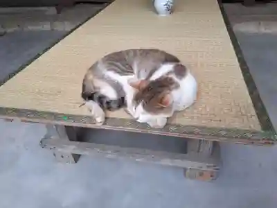 山寺千手院の動物