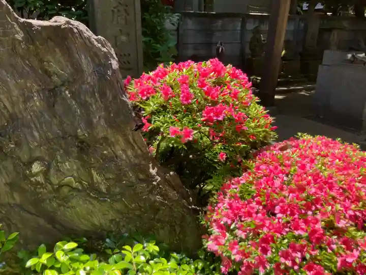 長遠寺(東京都)