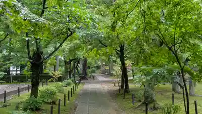 真正極楽寺(真如堂)(京都府)