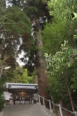 田間神社(千葉県)