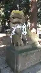 大山祇神社の狛犬