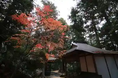 鹿島大神宮のその他建物