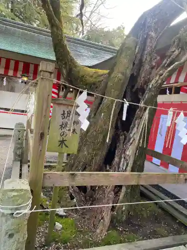 笠間稲荷神社(茨城県)