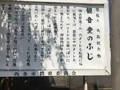 禎祥寺(愛媛県)