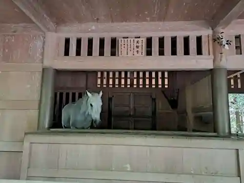 伊勢神宮外宮（豊受大神宮）(三重県)