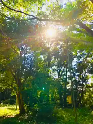 楯縫神社の自然