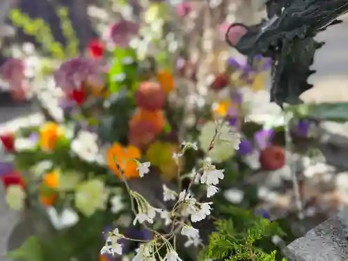 彌彦神社　(伊夜日子神社)の手水舎
