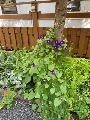 北見稲荷神社の自然