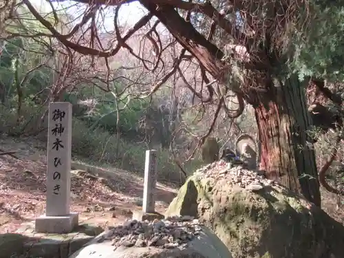 出釈迦寺奥の院　捨身ヶ嶽(香川県)