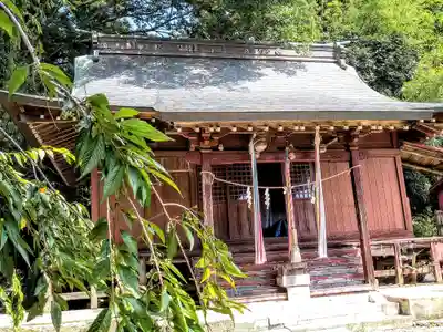 伊豆左比賣神社の本殿・本堂