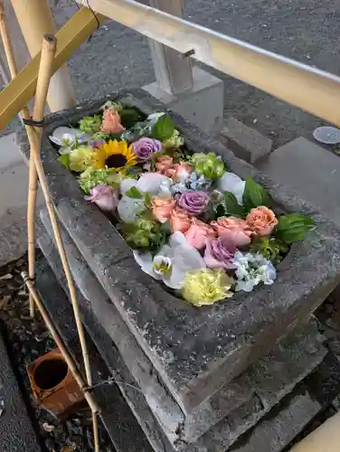 相模原氷川神社(神奈川県)
