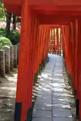 根津神社の鳥居