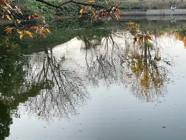 大神神社の{uncategorized: "未分類", other: "その他", undefined: "問題あり", building: "その他建物", grave: "お墓", sacred_gate: "鳥居", guardian: "狛犬", statue: "像", buddha: "仏像", history: "歴史", nature: "自然", garden: "庭園", animal: "動物", pagoda: "塔", temizu: "手水舎", mountain_gate: "山門・神門", sanctuary: "本殿・本堂", subordinate: "末社・摂社", art: "芸術", scenery: "景色", jizo: "地蔵", ema: "絵馬", goshuin: "御朱印", omikuji: "おみくじ", items: "授与品その他", amulet: "お守り", goshuincho: "御朱印帳", eats: "食事", festival: "お祭り", votive_dance: "神楽", shichigosan: "七五三参", wedding: "結婚式", experience: "体験その他", initially: "初詣", around: "周辺", anti_infection: "感染症対策"}