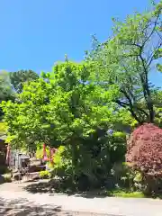 定泉寺(神奈川県)