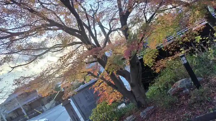 出雲大神宮(京都府)