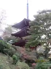 岡寺（龍蓋寺）(奈良県)