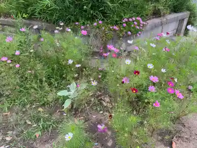 浦賀神社(千葉県)