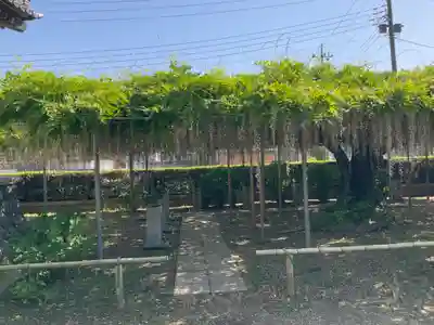 龍泉寺（足利厄除大師）(栃木県)