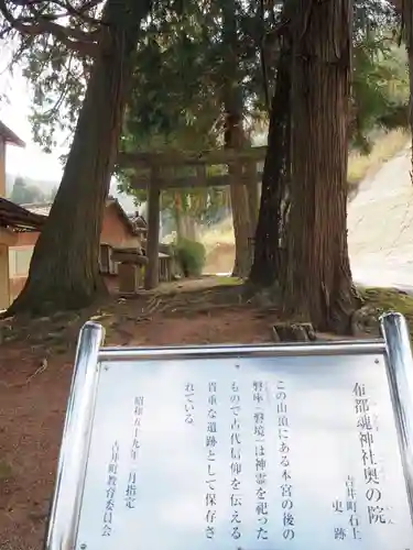 石上布都魂神社の鳥居