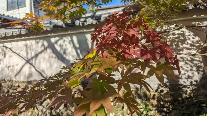 宝菩提院願徳寺(京都府)