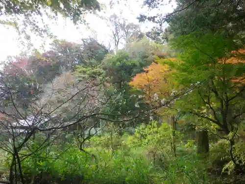 東慶寺の景色