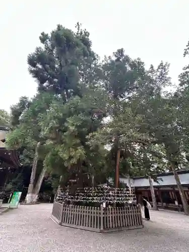 大神神社(奈良県)