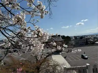 成田山名古屋別院大聖寺(犬山成田山)(愛知県)