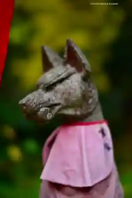 佐助稲荷神社の狛犬