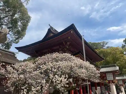 太宰府天満宮(福岡県)
