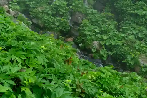 白山比咩神社　奥宮(石川県)