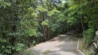 護皇神社の自然