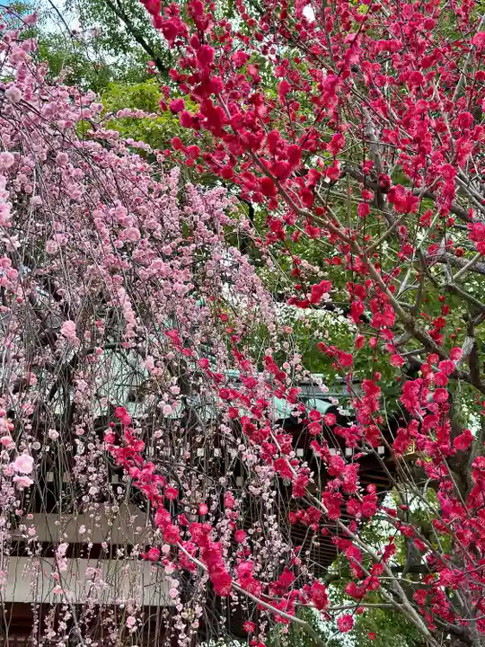 屯倉神社(大阪府)