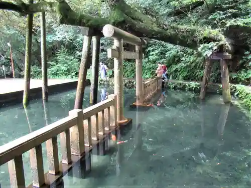 鹿島神宮(茨城県)