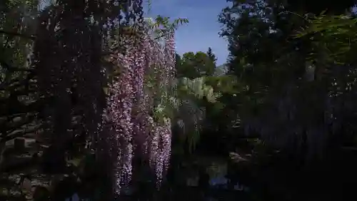 歌泉堂（春日大社神苑萬葉植物園内鎮座）(奈良県)