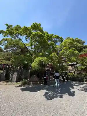 深大寺(東京都)