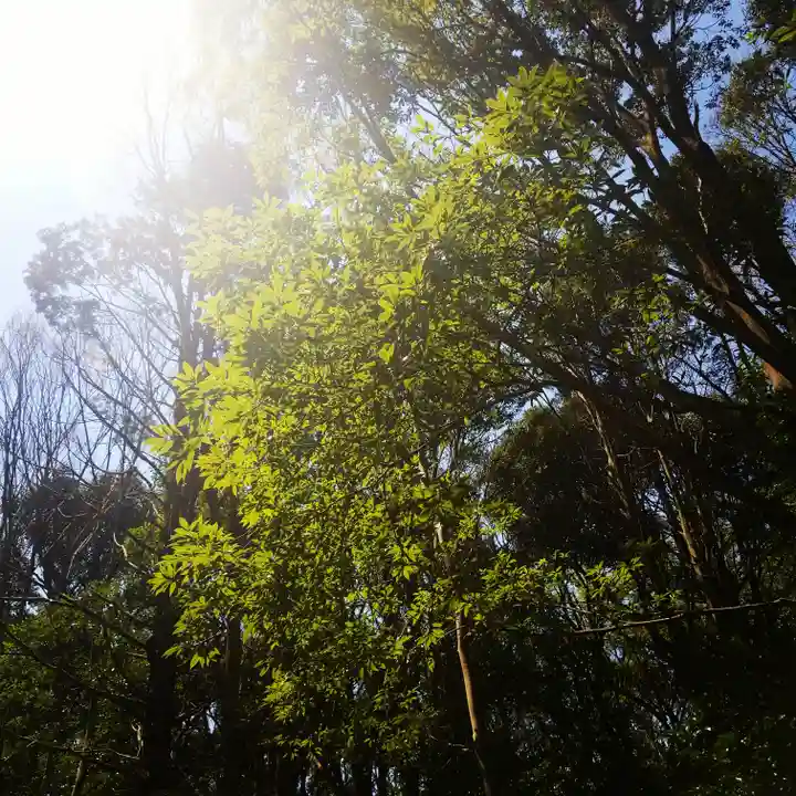 鹿島神宮の自然