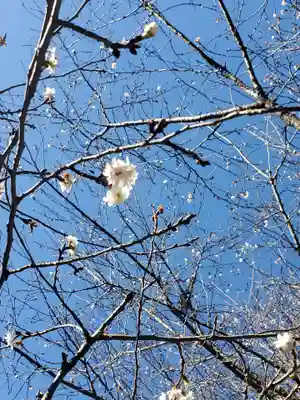 開成山大神宮(福島県)