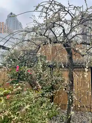 西応寺(東京都)