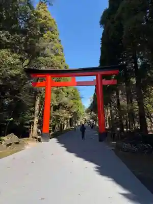 霧島神宮(鹿児島県)