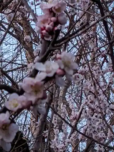 玉眞院玉川大師の庭園