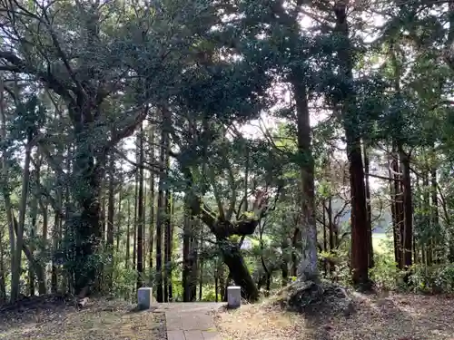 高谷神社の自然