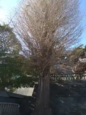 叶神社 (西叶神社)(神奈川県)