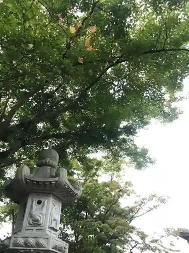 明覚寺の庭園