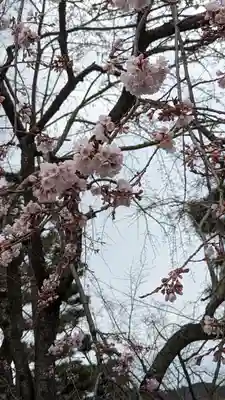 くろ谷 金戒光明寺(京都府)