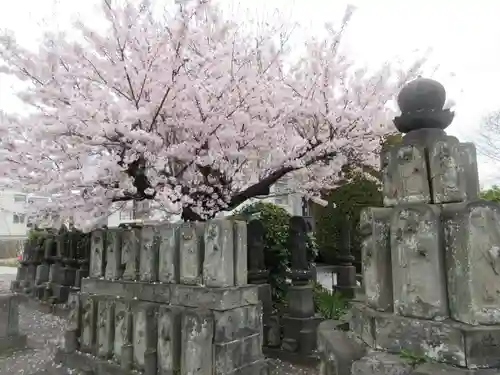 浄名院の地蔵