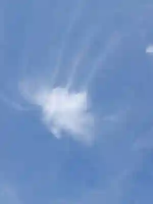 富岡八幡宮(東京都)