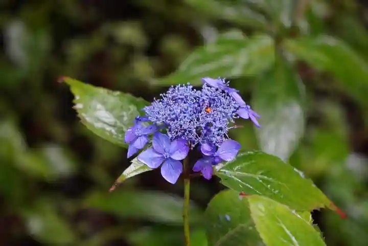 尻岸内八幡神社の景色