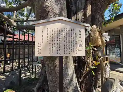 嶺白山神社(東京都)
